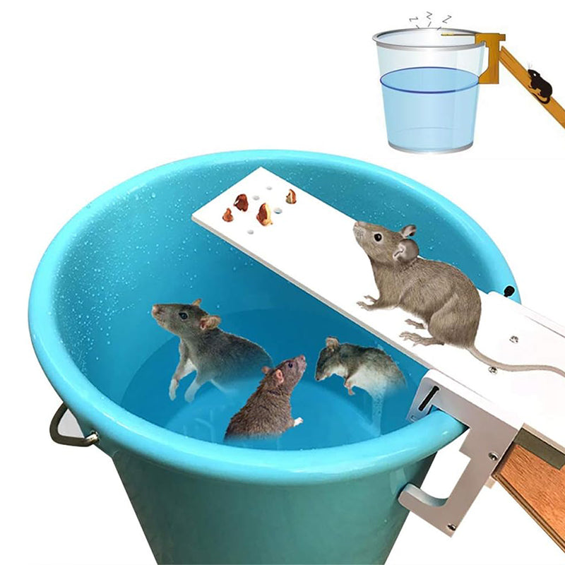 Walk The Plank Humane Bucket Auto Reset Mouse Trap
