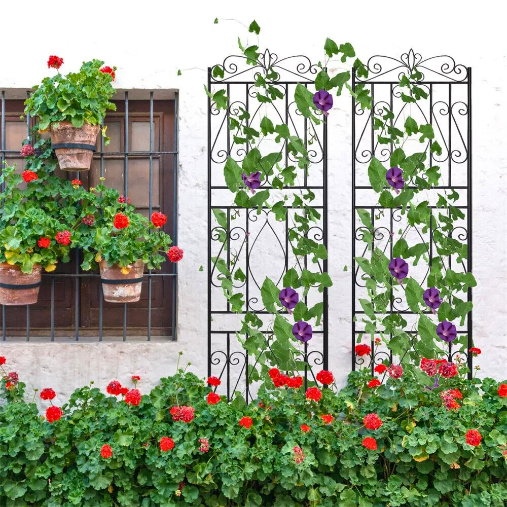 Garden Border Trellis High Metal Climbing Plants Support Trellis