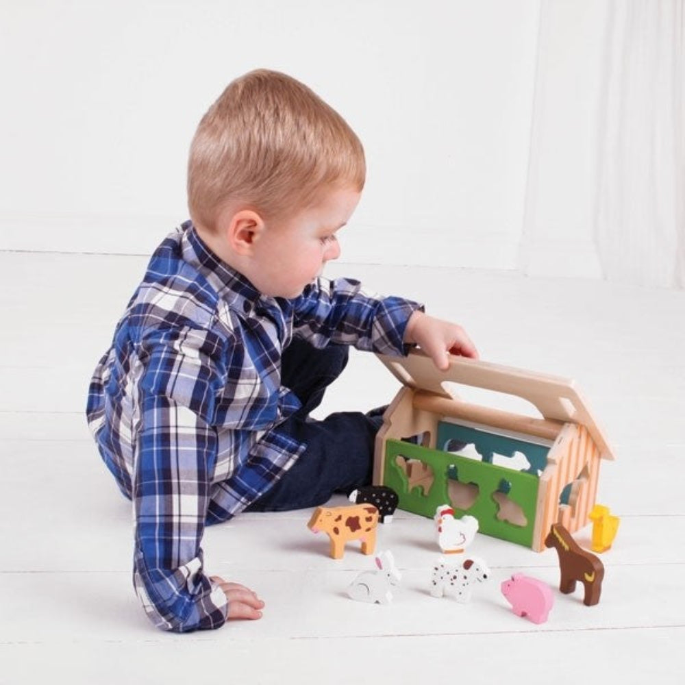 Bigjigs Toys Educational Wooden Farmhouse Shape Sorter Toy for Toddlers