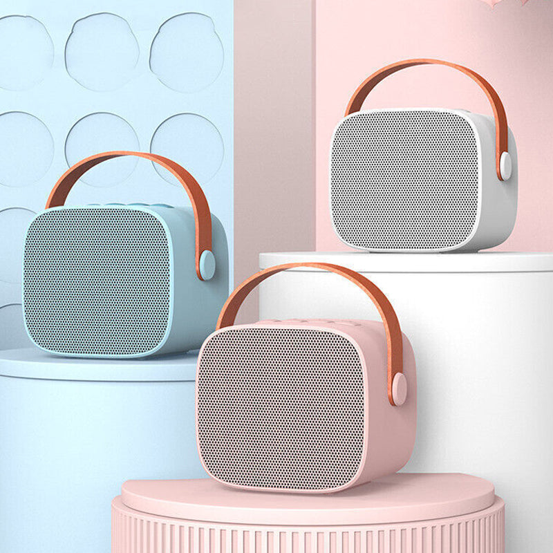 Portable Karaoke Speaker Machine with 6 Sound Effects- USB Charging