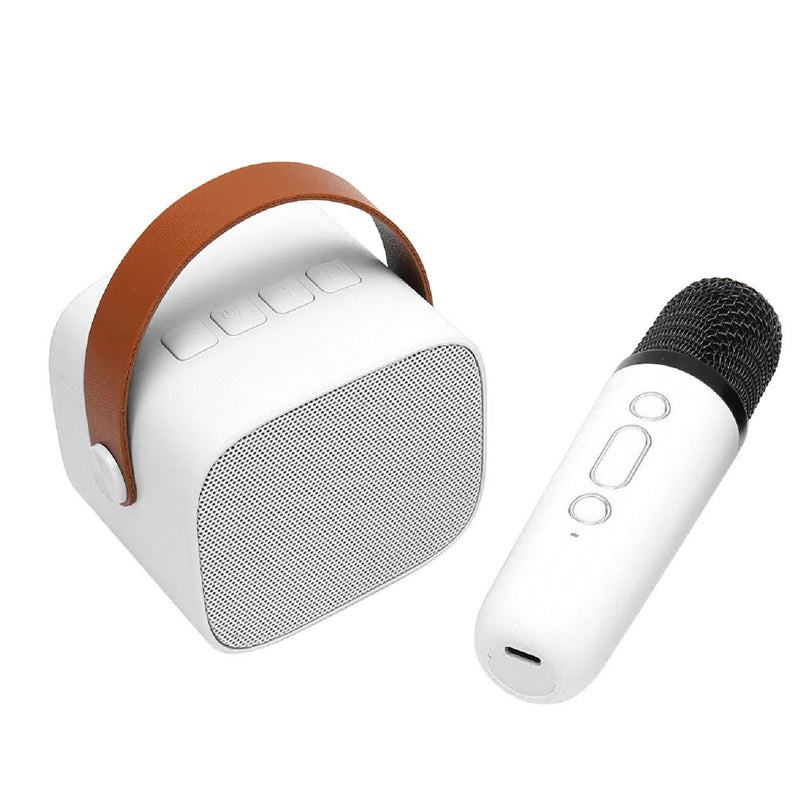 Portable Karaoke Speaker Machine with 6 Sound Effects- USB Charging