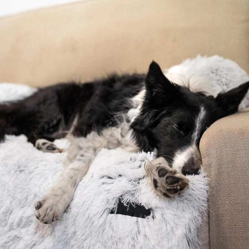 Portable Furniture Mat Protector with Washable Cover Pet Cushion