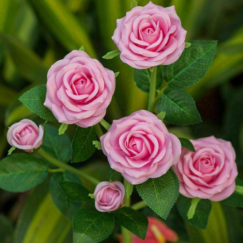 75cm Long Stemmed Garden Rose Decorative Outdoor Garden Flower Light- Solar Powered