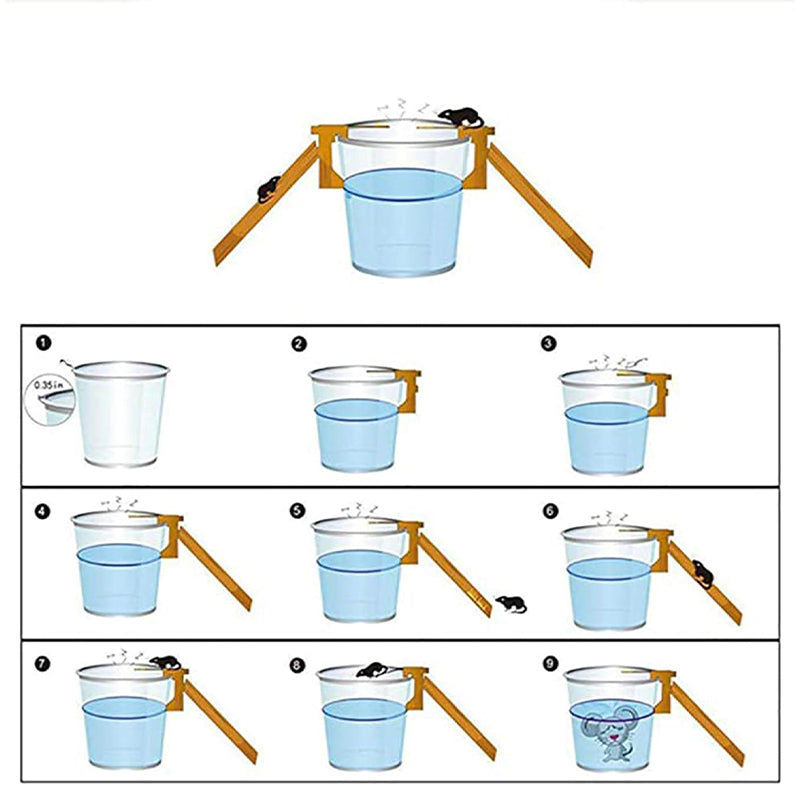 Walk The Plank Humane Bucket Auto Reset Mouse Trap