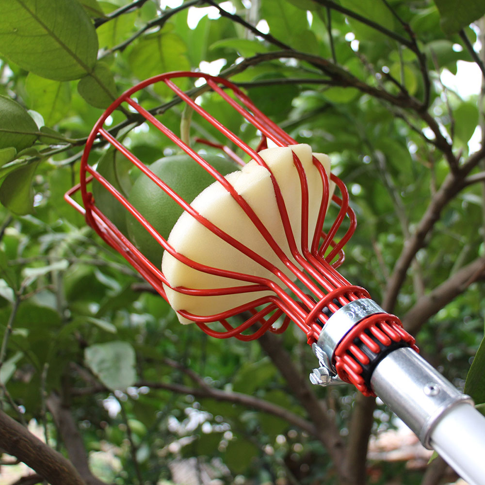 Easy-Pick Fruit Harvester Tool for Orchard and Garden