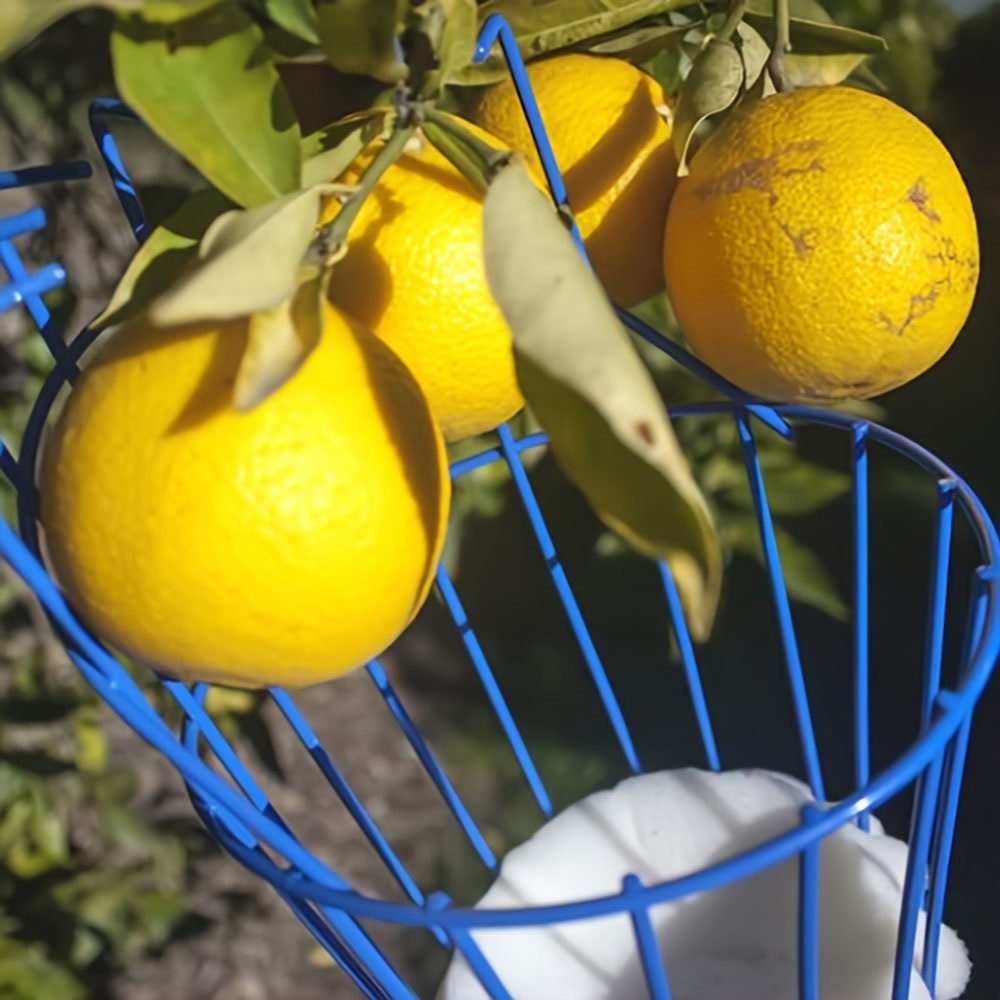 Easy-Pick Fruit Harvester Tool for Orchard and Garden