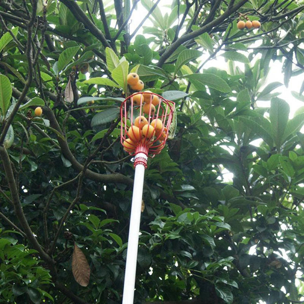 Easy-Pick Fruit Harvester Tool for Orchard and Garden
