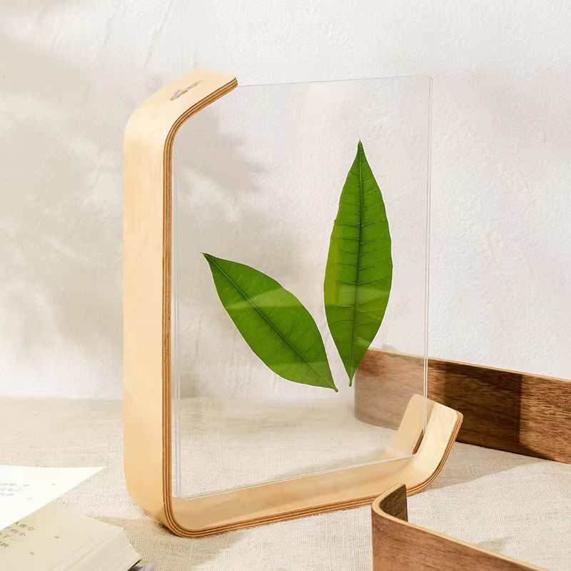 Acrylic Wooden Photo Frame Herbarium Display Calendar DIY Frame