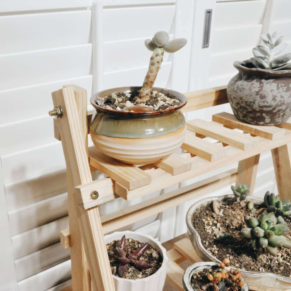 2-Tier Wooden Desktop Storage Shelf