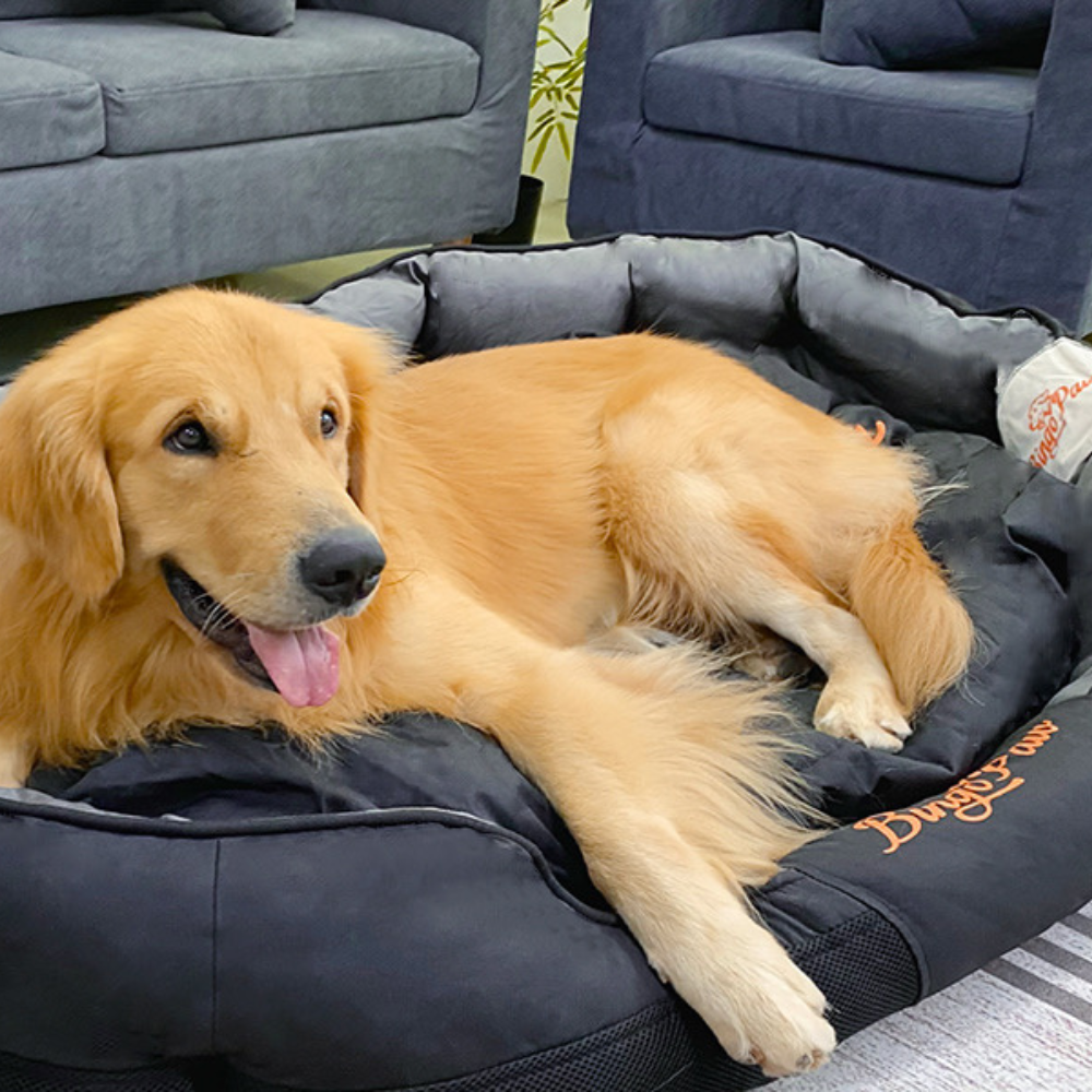Waterproof Jumbo Orthopedic Sofa Dog Bed Pet Mat Kennel