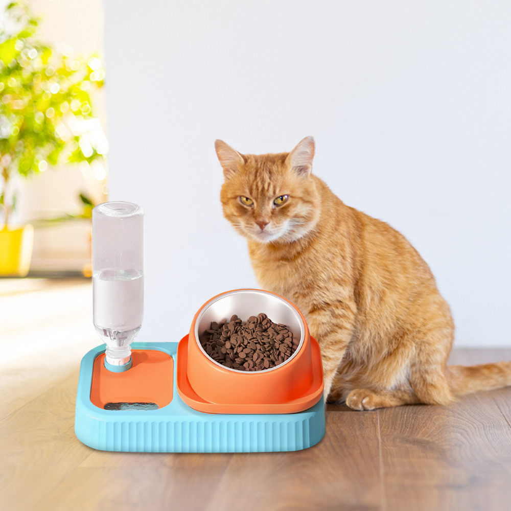 3 in 1 Pet Food Container with Automatic Drinking Bottle