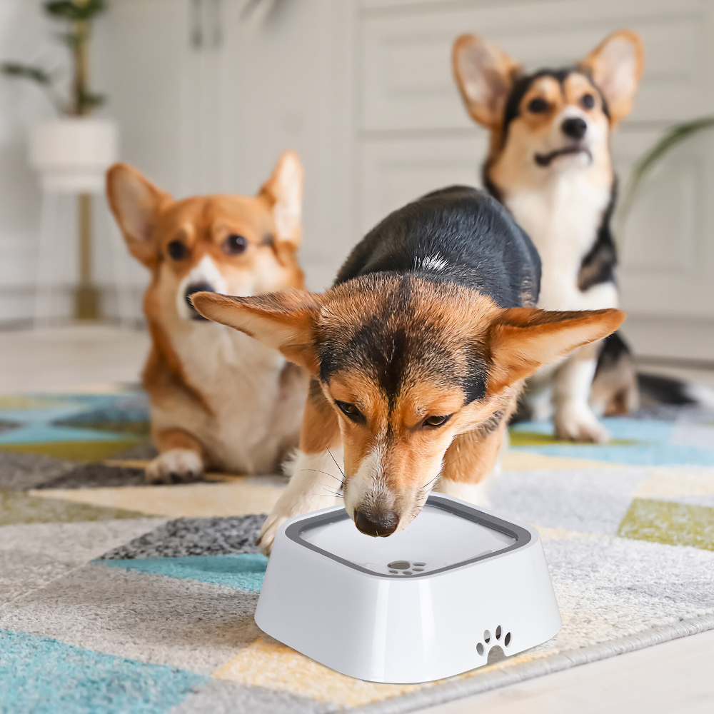 Floating Pet Water Bowl with Waterproof Mat