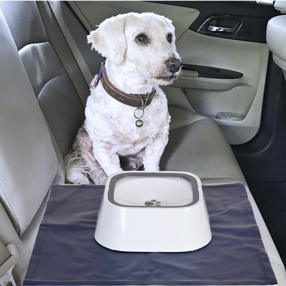 Floating Pet Water Bowl with Waterproof Mat