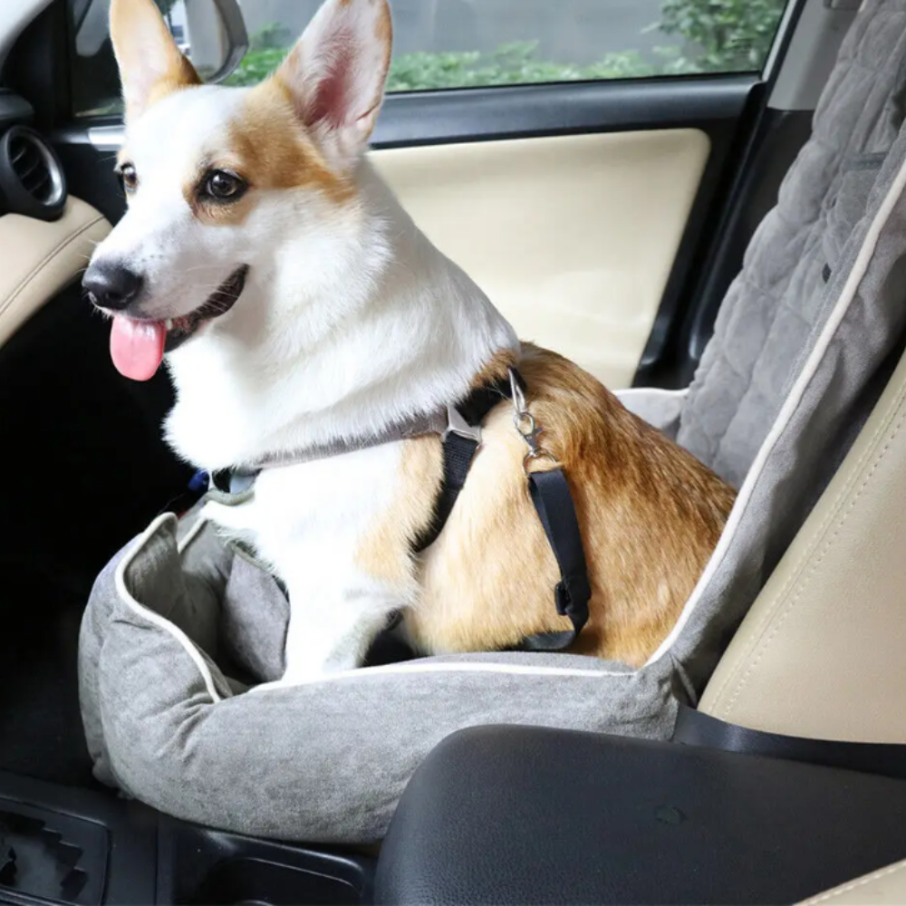 Anti-Slip Pet Booster Seat with Storage Pockets and Safety Leash