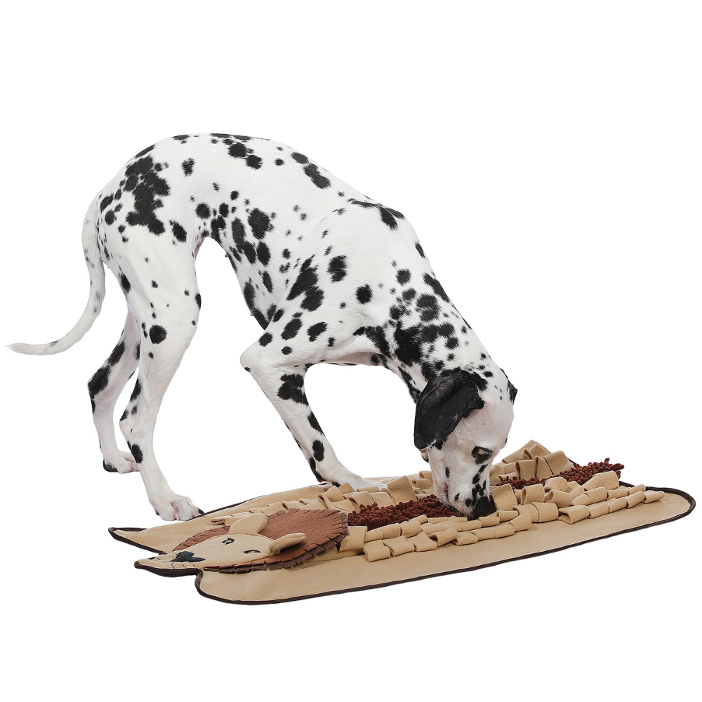 Pet Dog Snuffle Mat Smell Sniffing Training Pad Interactive Dog Puzzle Toys