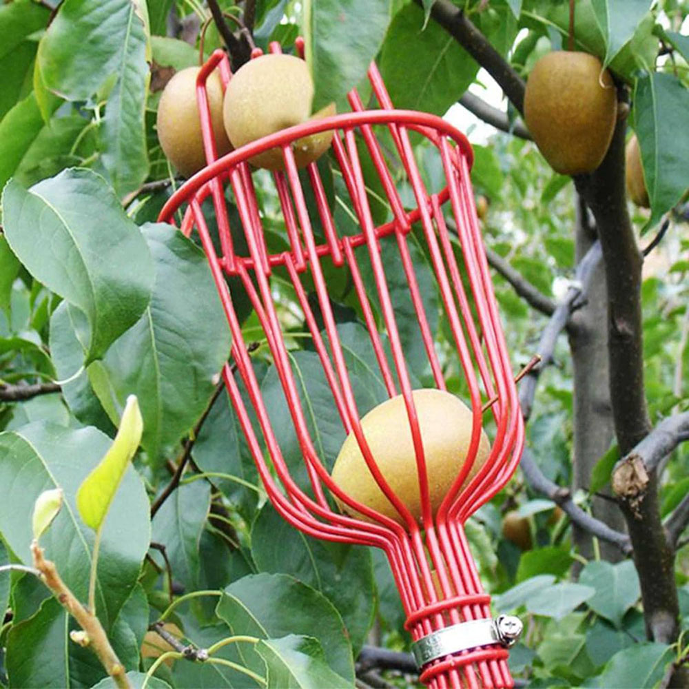 Deep Basket Fruit Picker Head Farm Picking Device Garden tools