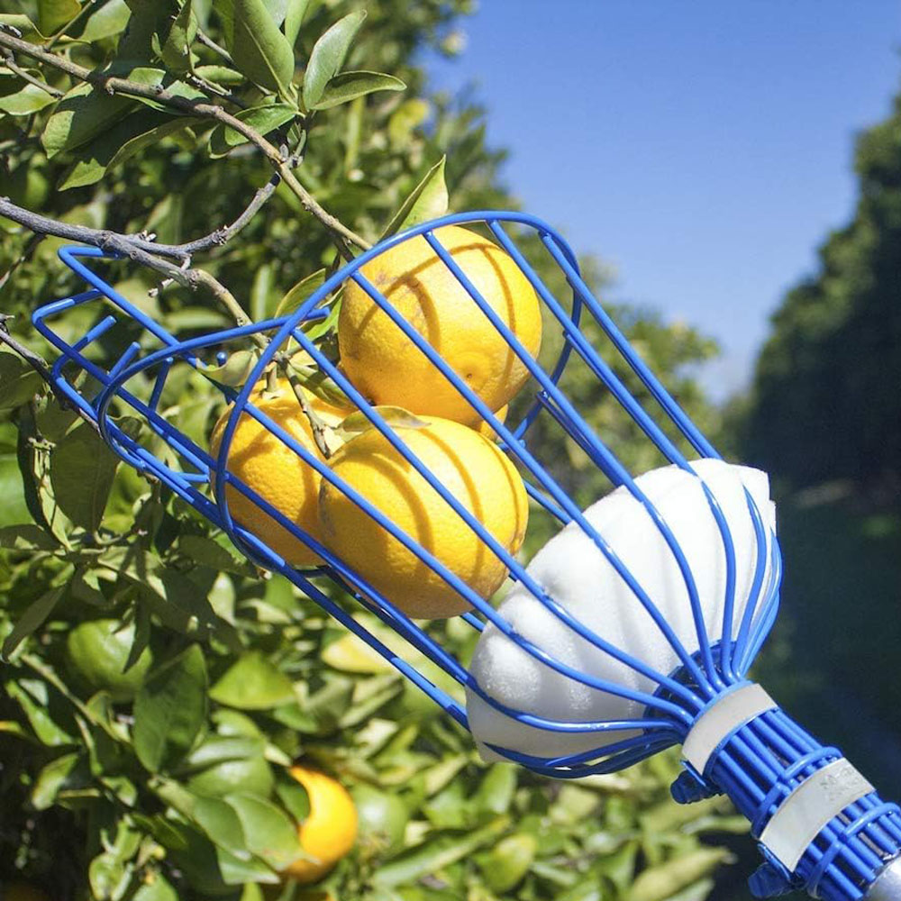 Deep Basket Fruit Picker Head Farm Picking Device Garden tools