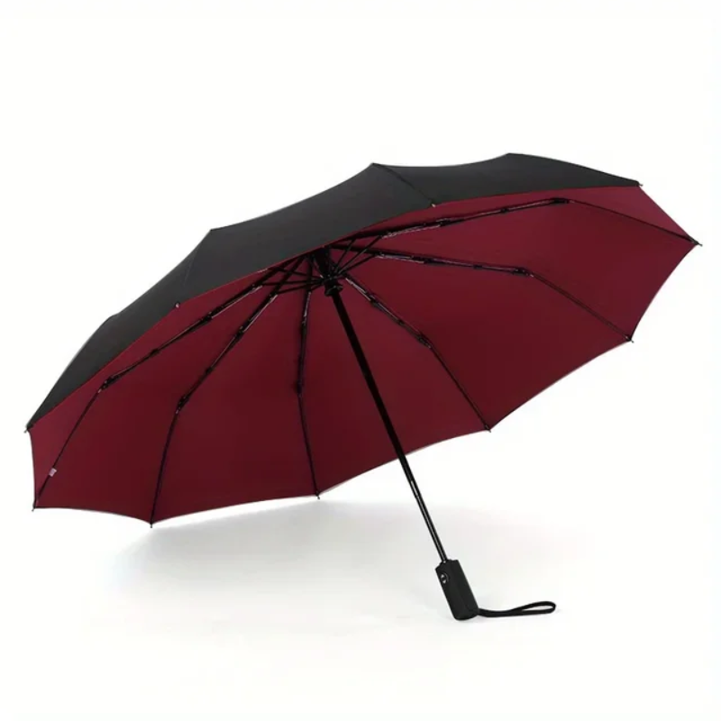 Fully Automatic Windproof Double Layer Resistant Umbrella Parasol