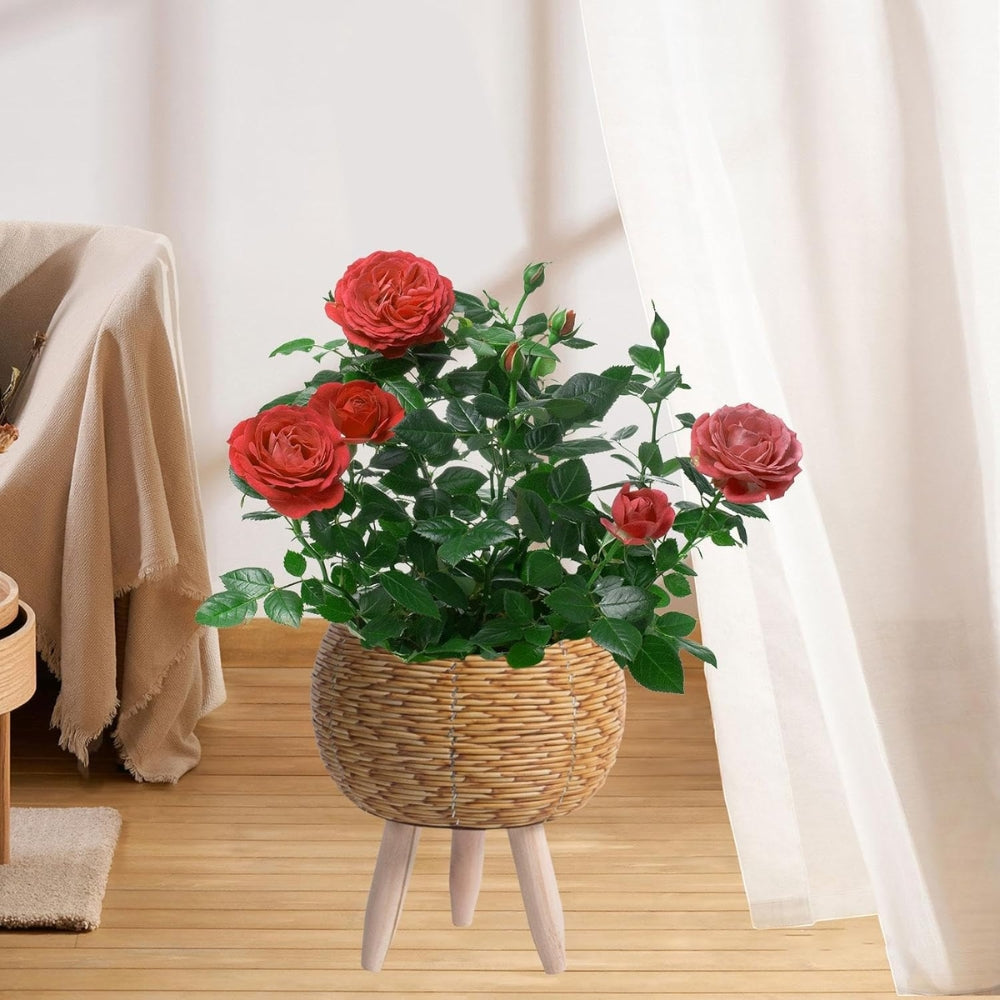 Nordic Style Faux Rattan Plant Stand Flower Shelf Flower Pot
