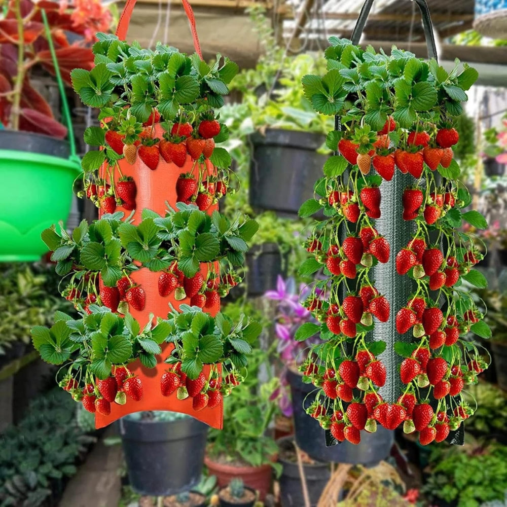 Hanging Strawberry Grow Bag Plant Grow Bags