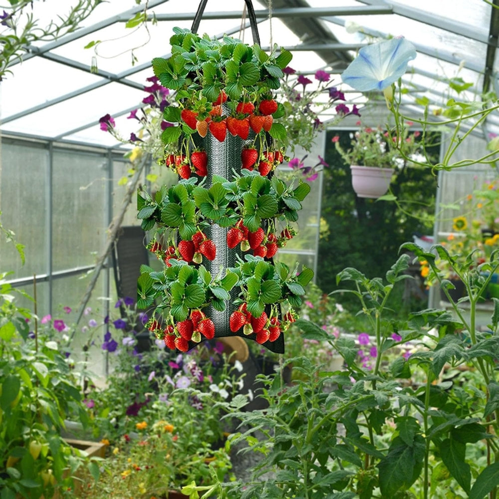 Hanging Strawberry Grow Bag Plant Grow Bags