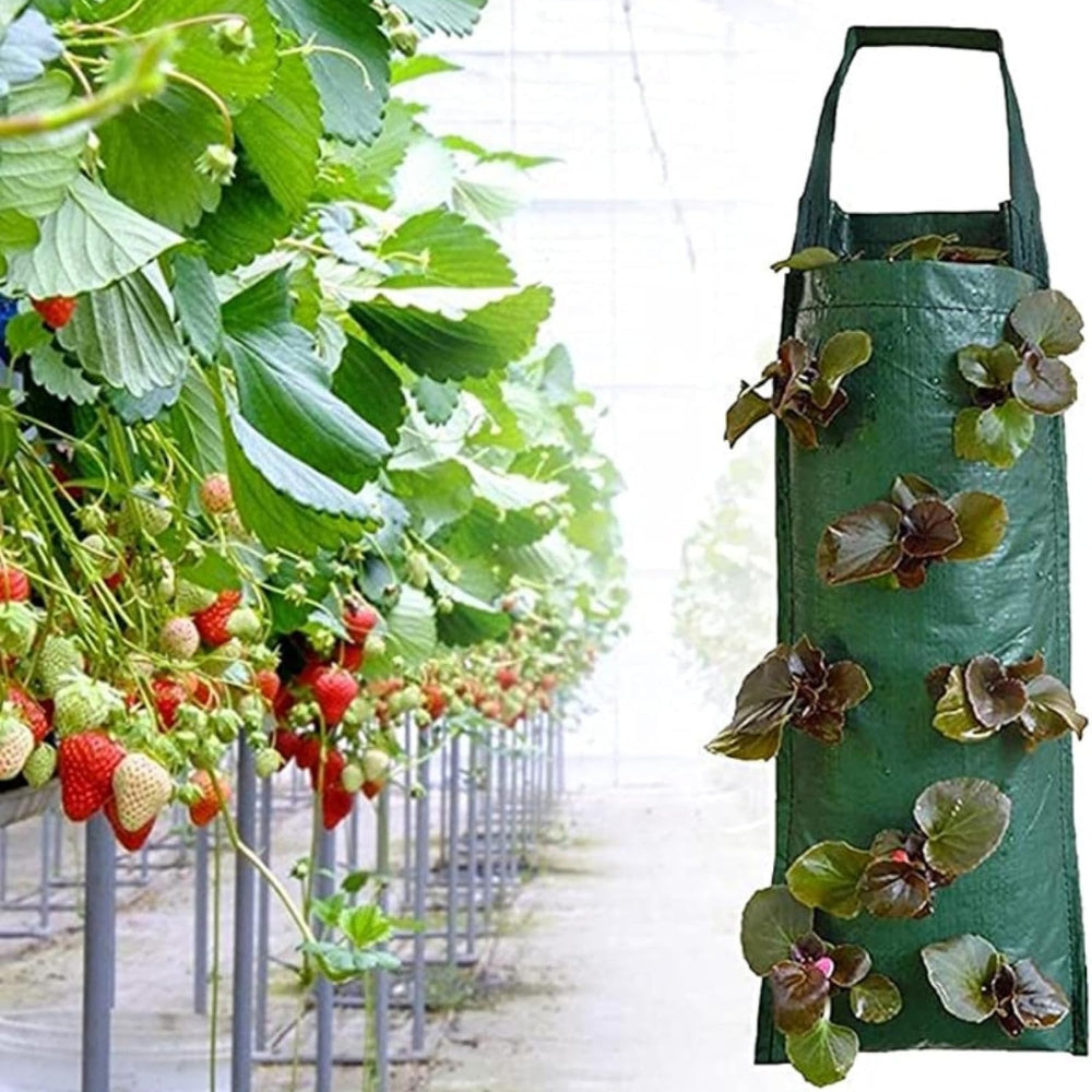 Hanging Strawberry Grow Bag Plant Grow Bags