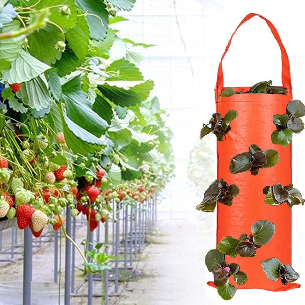 Hanging Strawberry Grow Bag Plant Grow Bags