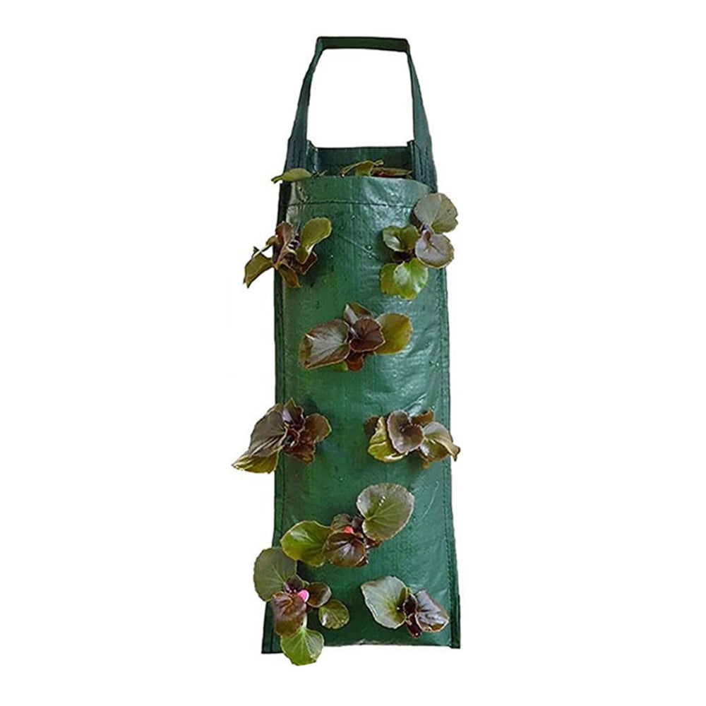 Hanging Strawberry Grow Bag Plant Grow Bags