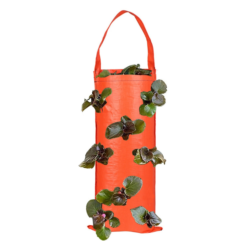 Hanging Strawberry Grow Bag Plant Grow Bags