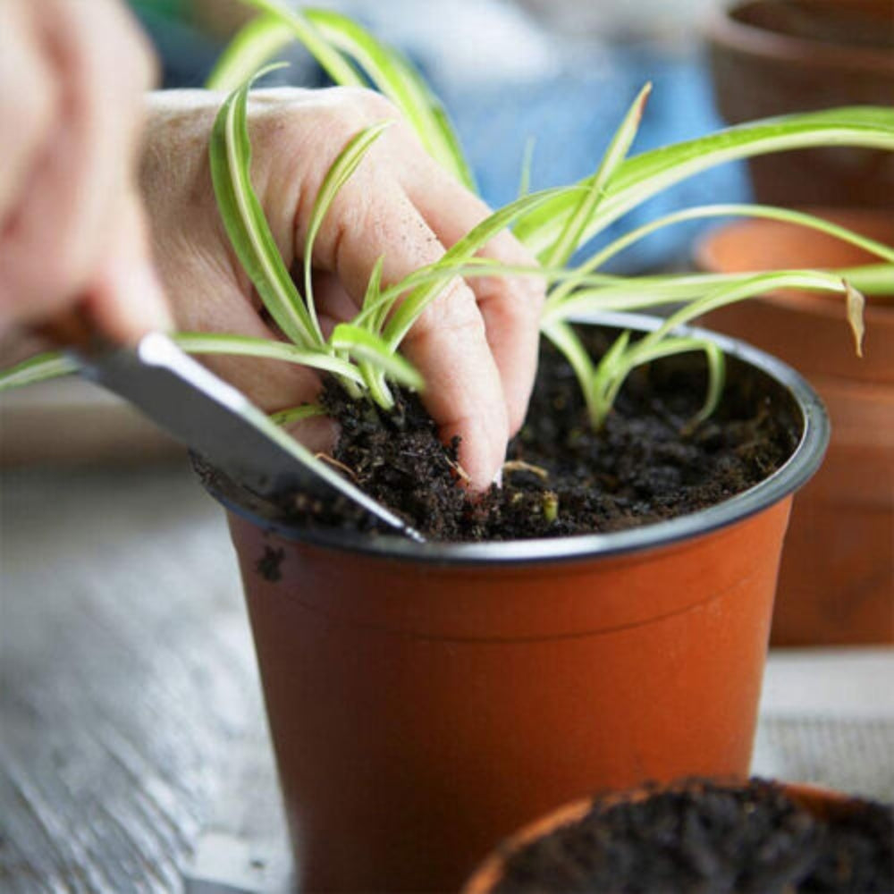 Plastic Garden Nursery Pots Mini Planters for Plants Flower Pot