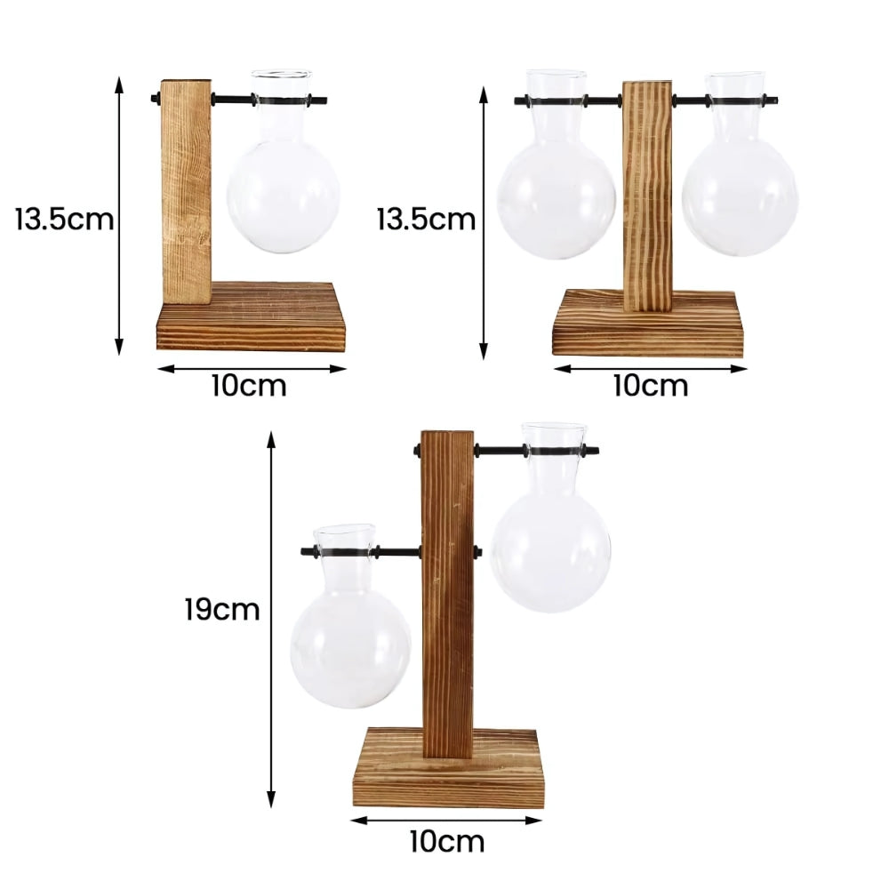 Modern Glass Bulb Vase with Wooden Stand for Hydroponic Plants