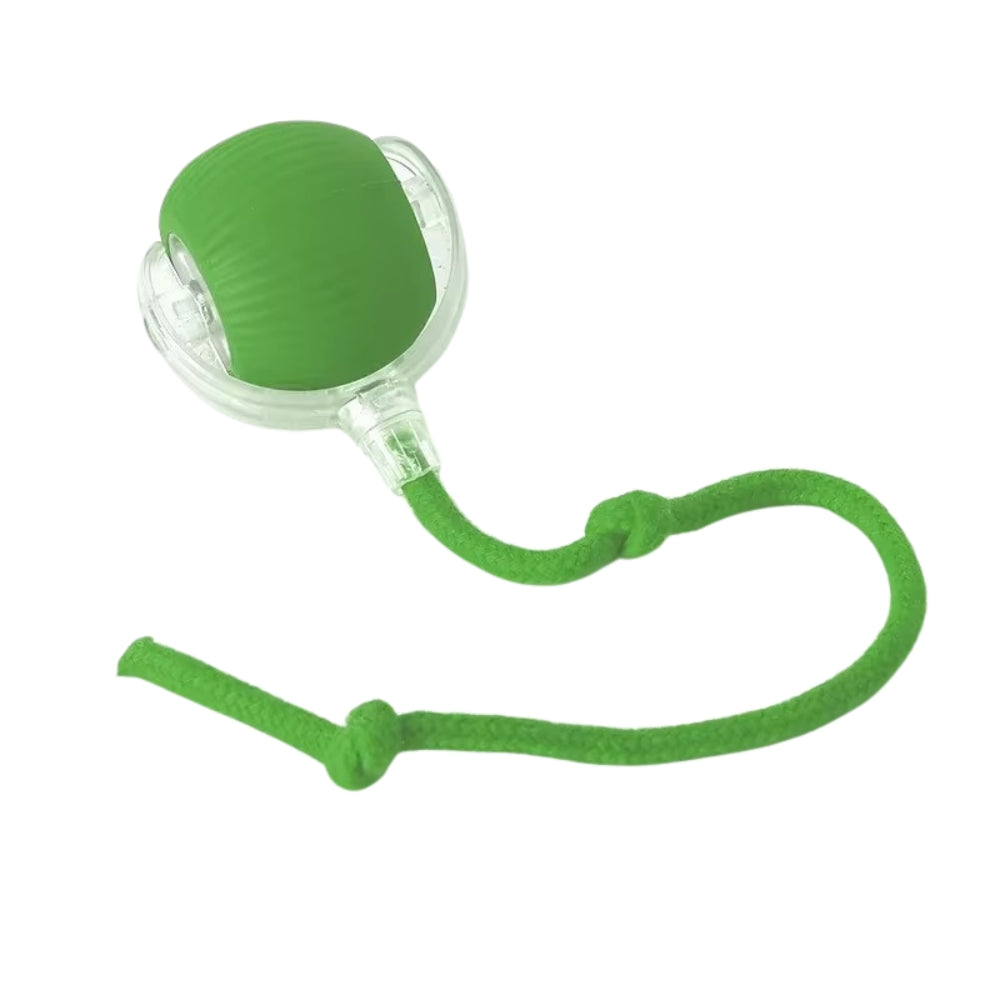 Toy Dog Cat Interactive Rechargeable Rolling Ball with Faux Tail