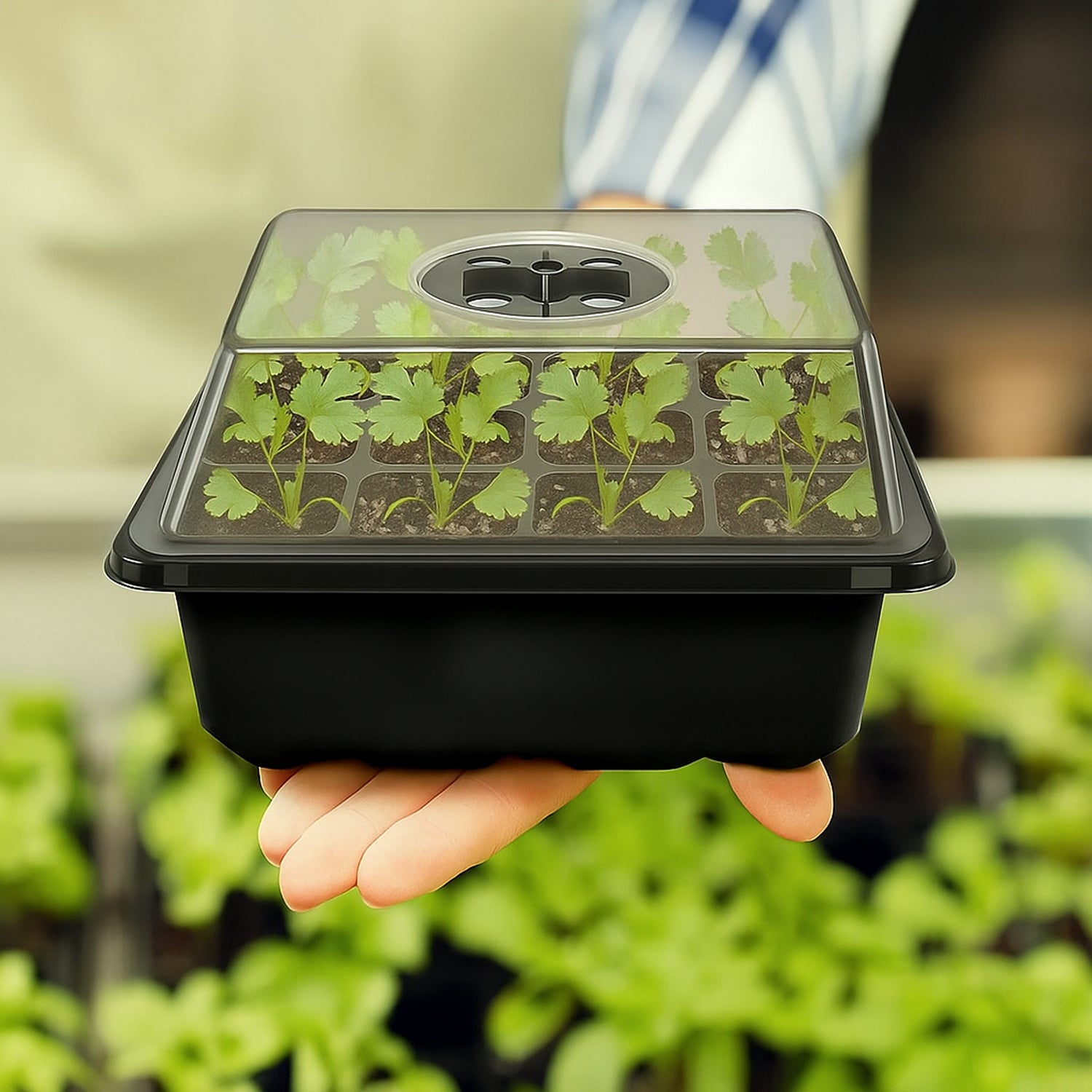 Hivvago Seed Starter Trays 4-Pack – 40 Cell Kits with Ventilated Domes