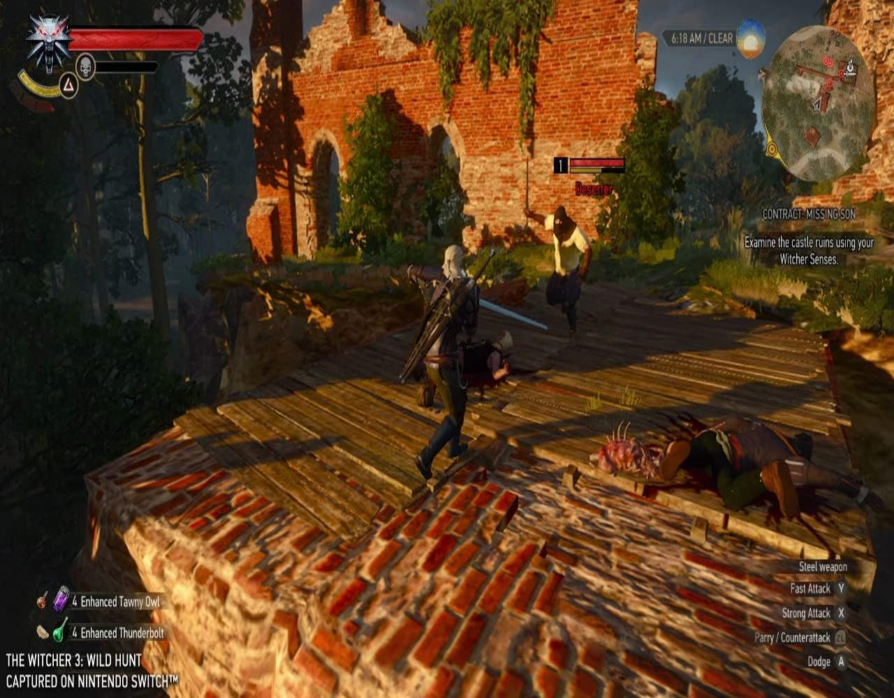 Bandai Namco Entertainment The Witcher 3: Wild Hunt (Switch)