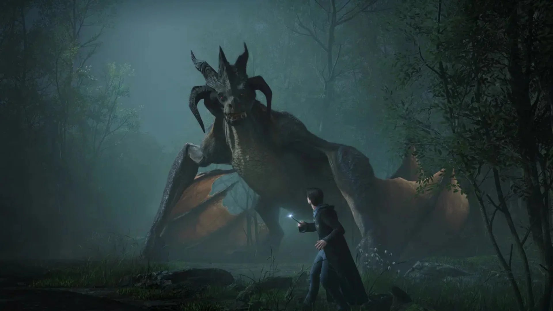Warner Bros Interactive Ent Hogwarts Legacy (Switch)