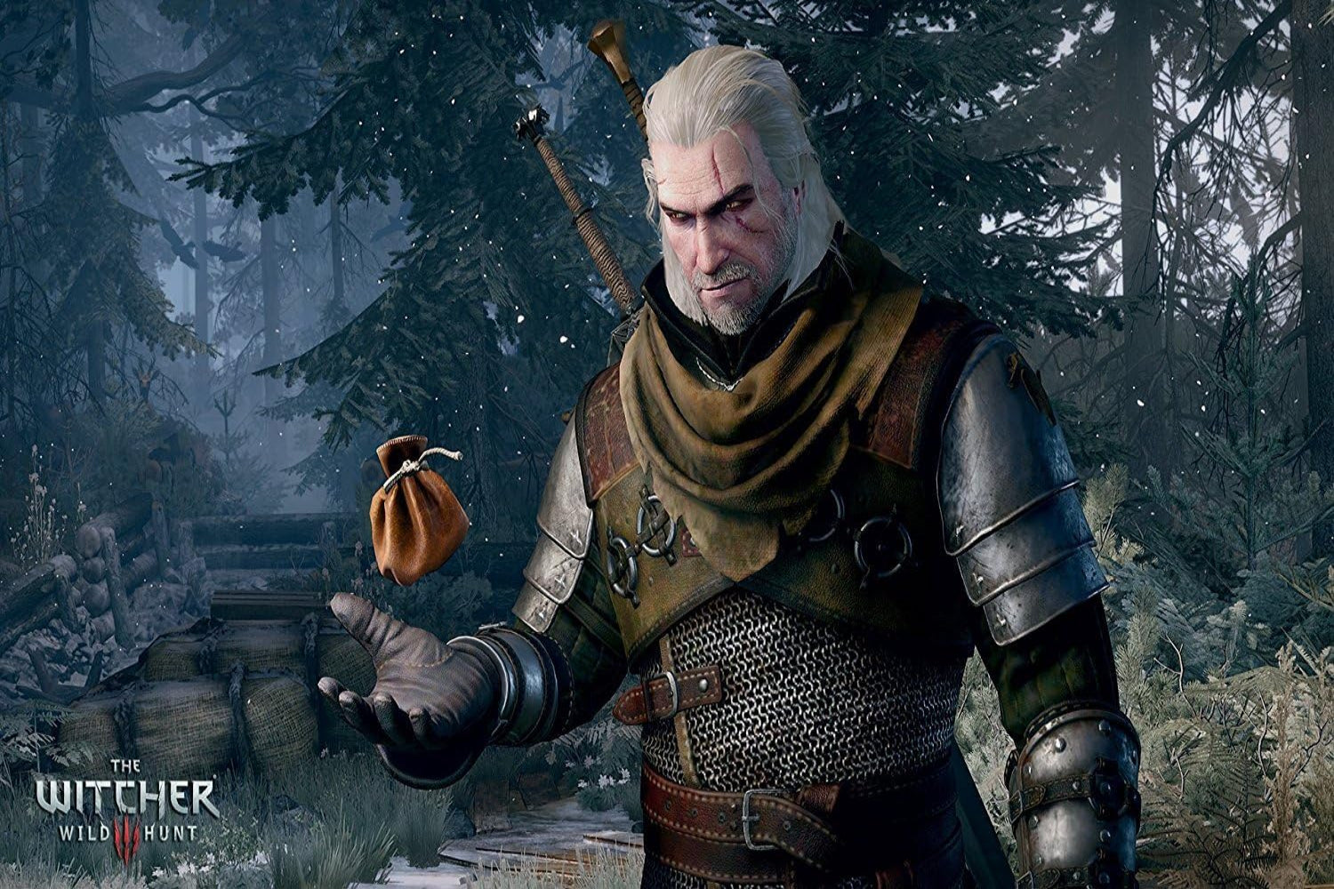 Bandai Namco Entertainment The Witcher 3 Game of the Year Edition (PS4)
