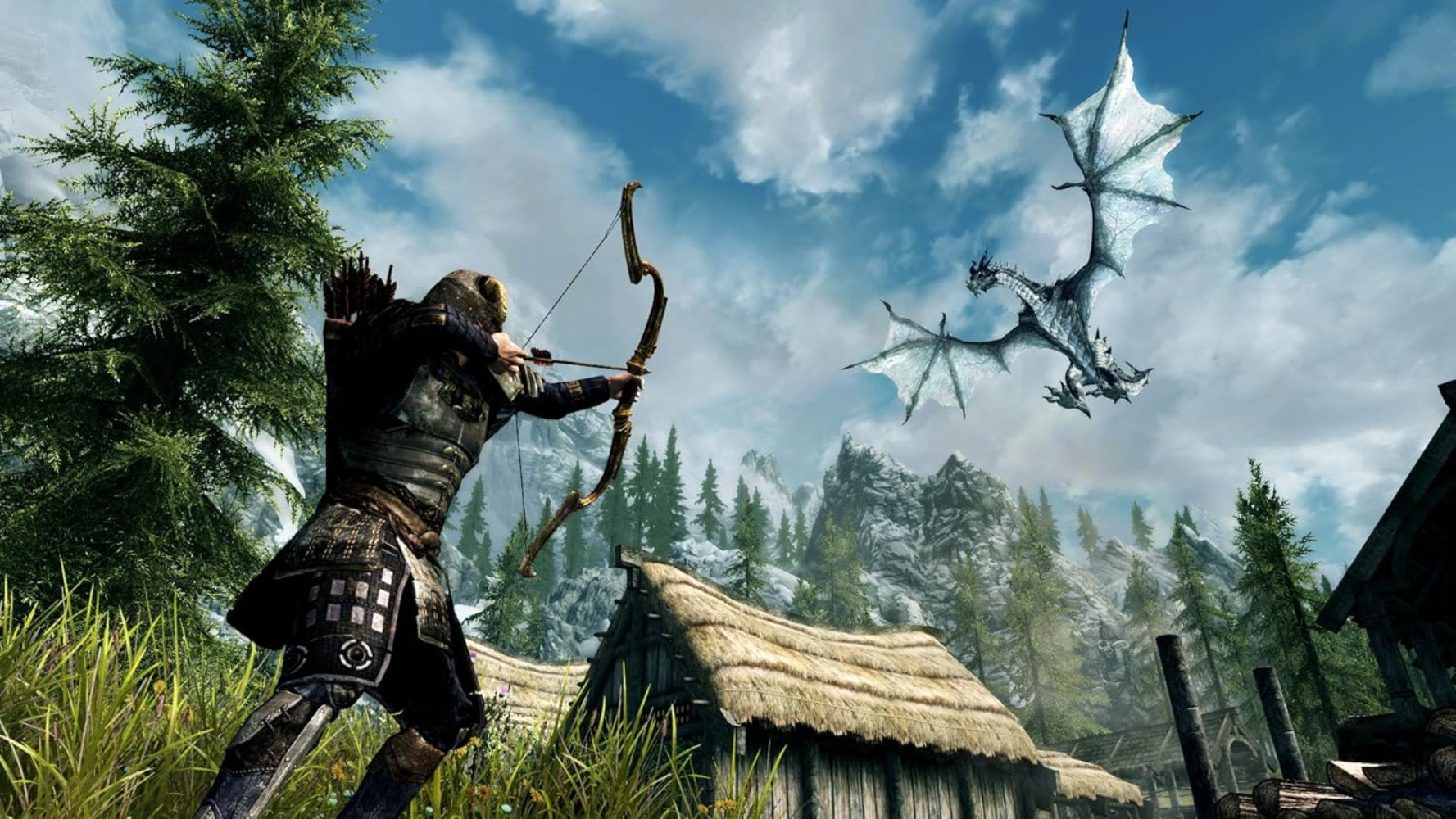 Nintendo Bethesda The Elder Scrolls V Skyrim Nintendo Switch Games